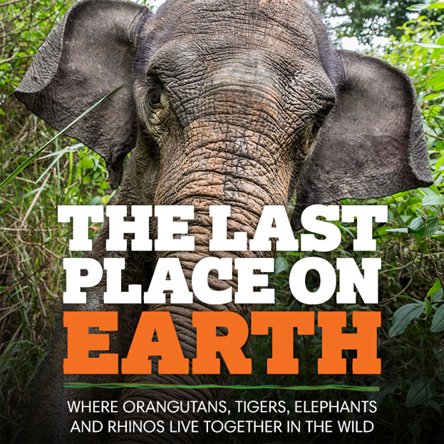 The Last Place on Earth - Where Orangutans, Tigers, Elephants and Rhinos live together in the wild.